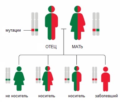 Аутосомно-рецессивные заболевания