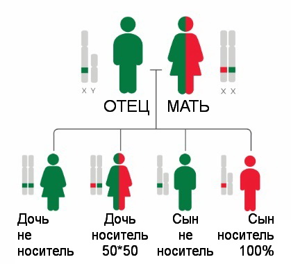 Х-сцепленные заболевания